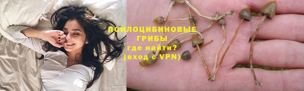 ECSTASY Белокуриха