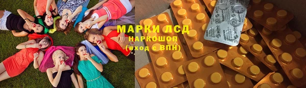 ECSTASY Белокуриха