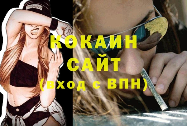 ECSTASY Белокуриха